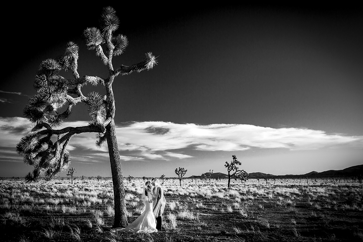 Cristiano Ostinelli - the Lake Como Wedding photographer